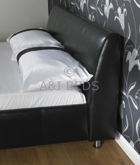 ANI BEDS Coal 3.jpg